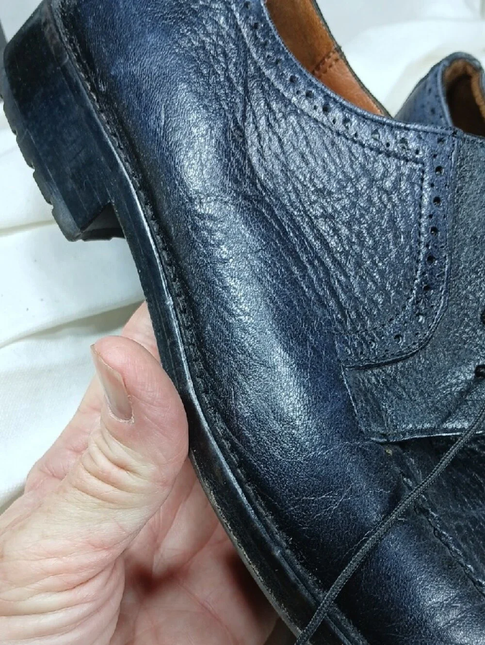 Alan Payne Men's Black Blue Leather Dress Shoes - Classic Lace-Up